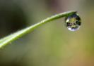 20060315142749-drop.jpeg