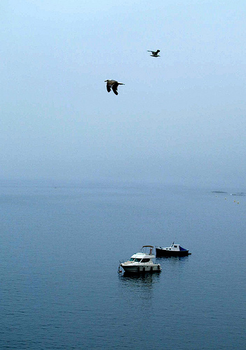Dos barcos, dos pájaros by JoseAngelGarciaLanda