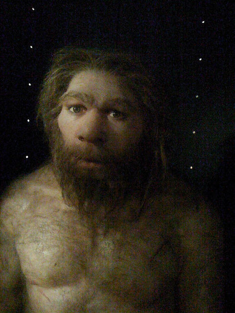La mirada del Neandertal