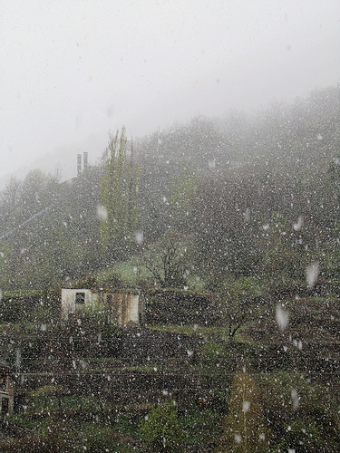 Nieva en la casa de los solitarios by JoseAngelGarciaLanda