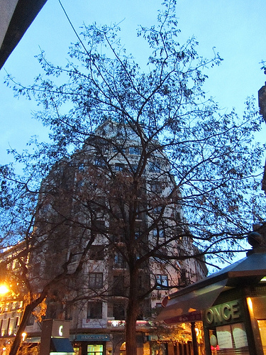 Edificio con árbol delante by JoseAngelGarciaLanda