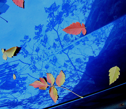 On the Car Blue by JoseAngelGarciaLanda
