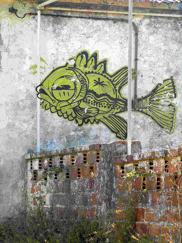 Fish Breaking Frame by JoseAngelGarciaLanda